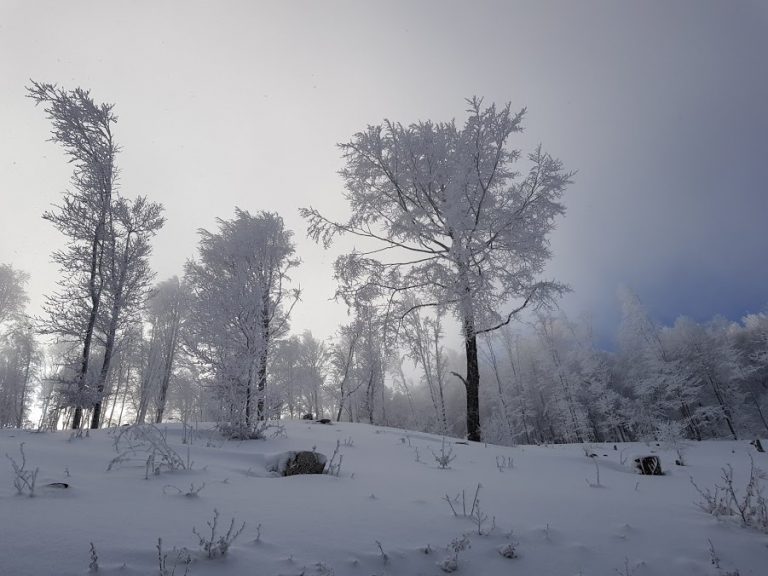 Winter Wonderland at Luboteni Peak – Butterfly Outdoor Adventure