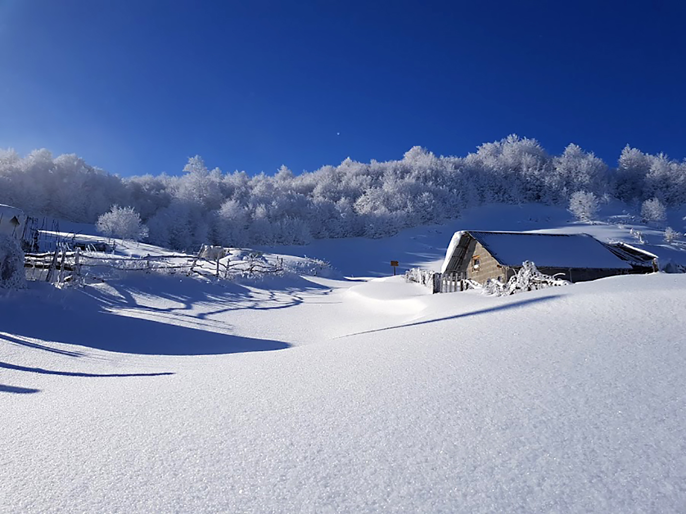 Winter Wonderland at Luboteni Peak